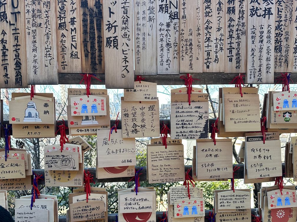 Progress Photo Day X